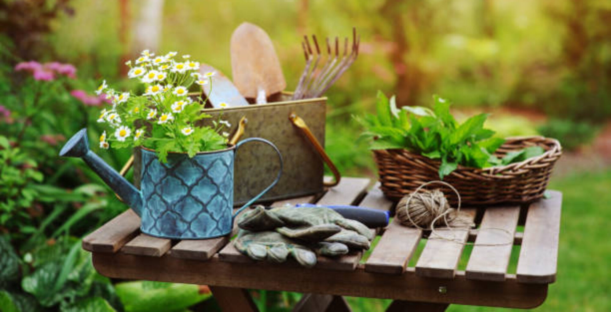 Relax Garden
